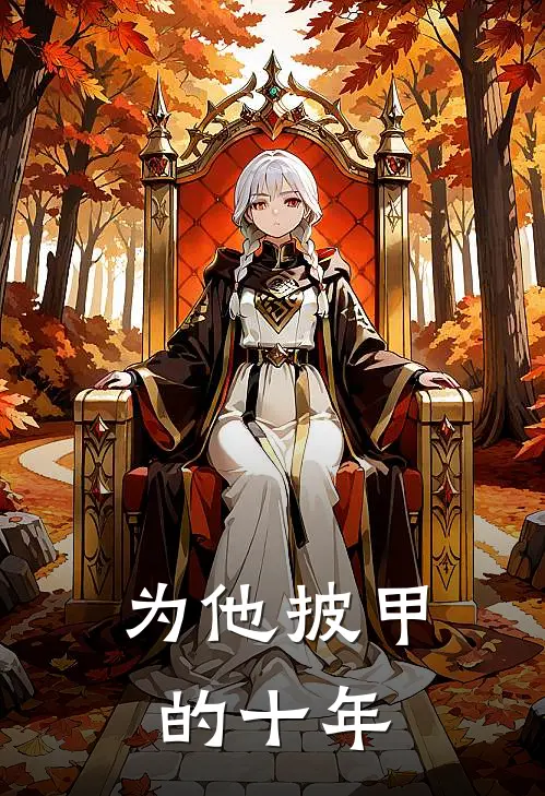 为他披甲的十年