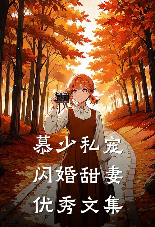 慕少私宠闪婚甜妻优秀文集