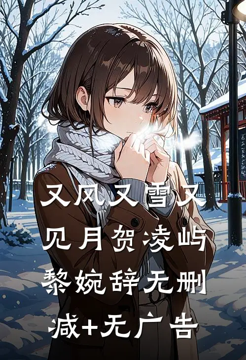 又风又雪又见月贺凌屿黎婉辞无删减+无广告