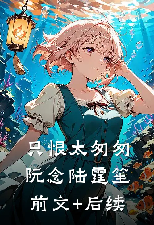 只恨太匆匆阮念陆霆笙前文+后续