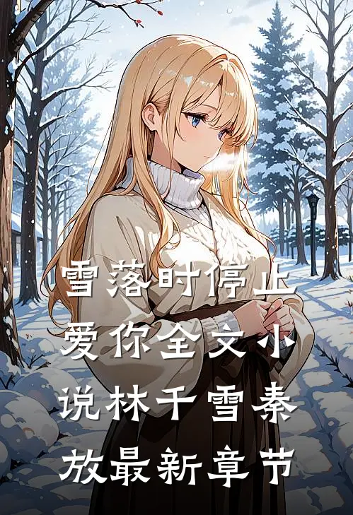 雪落时停止爱你全文小说林千雪秦放最新章节