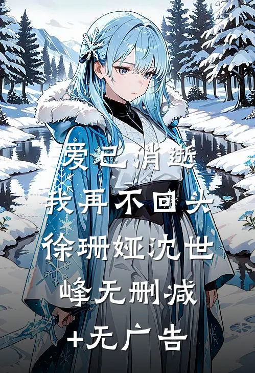 爱已消逝，我再不回头徐珊娅沈世峰无删减+无广告