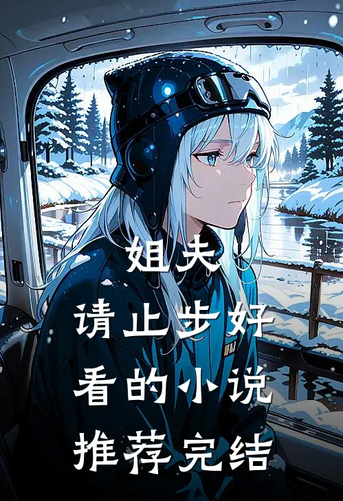 姐夫，请止步好看的小说推荐完结