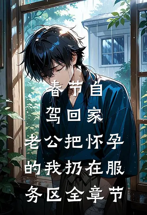 春节自驾回家，老公把怀孕的我扔在服务区全章节