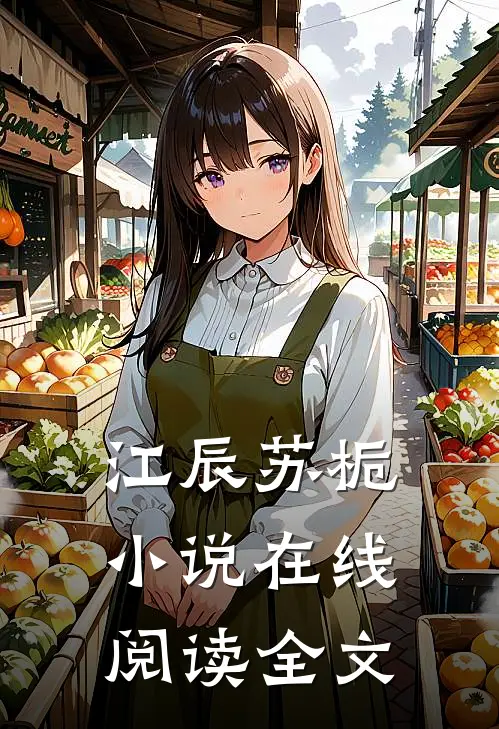 江辰苏栀小说在线阅读全文