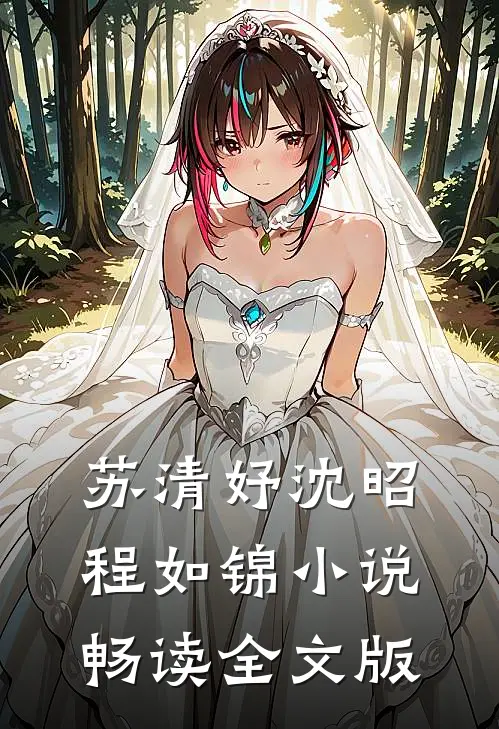 苏清妤沈昭程如锦小说畅读全文版
