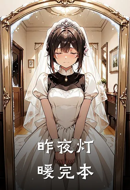 昨夜灯暖完本