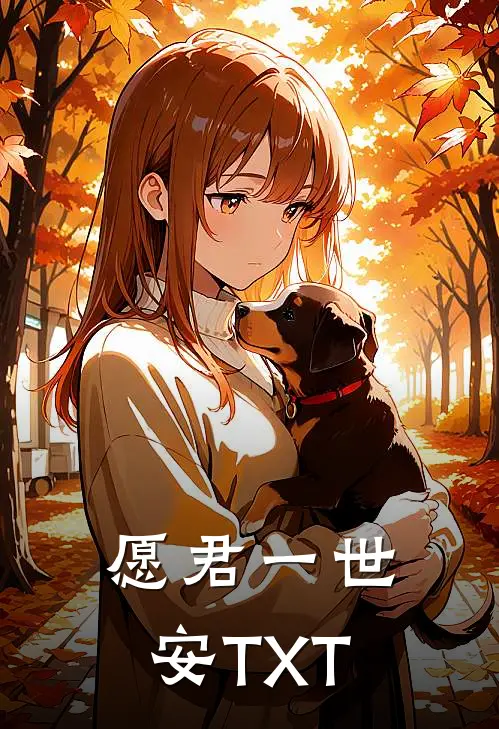 愿君一世安TXT