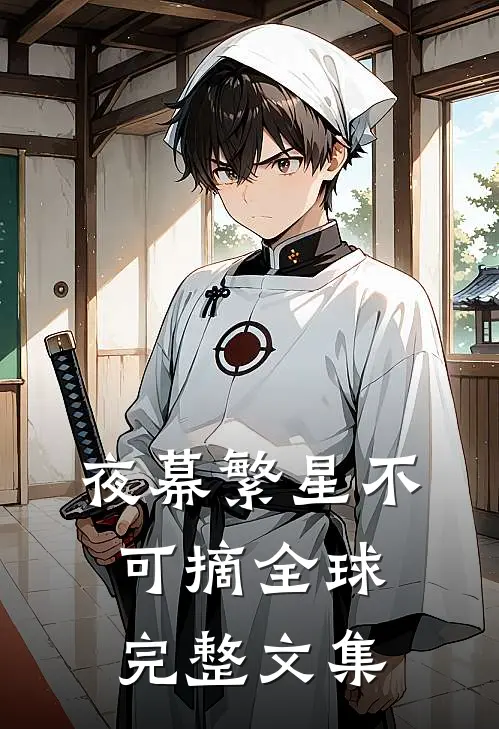 夜幕繁星不可摘全球完整文集