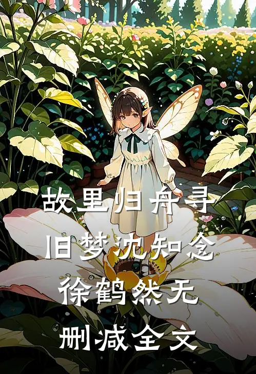 故里归舟寻旧梦沈知念徐鹤然无删减全文