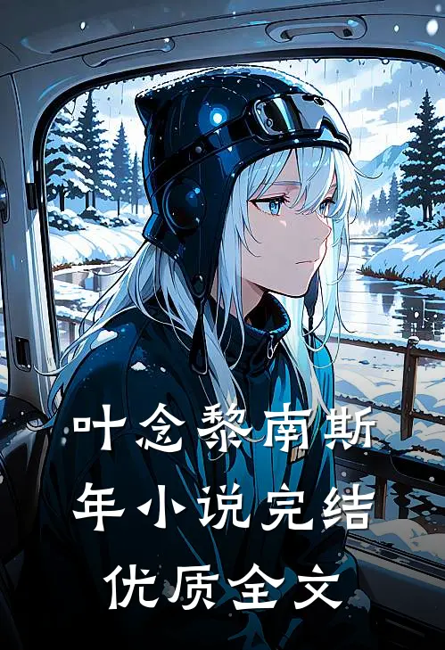 叶念黎南斯年小说完结优质全文