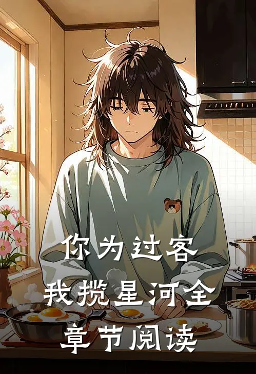 你为过客，我揽星河全章节阅读