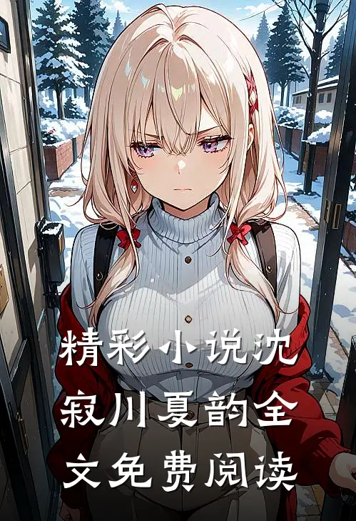 精彩小说沈寂川夏韵全文免费阅读