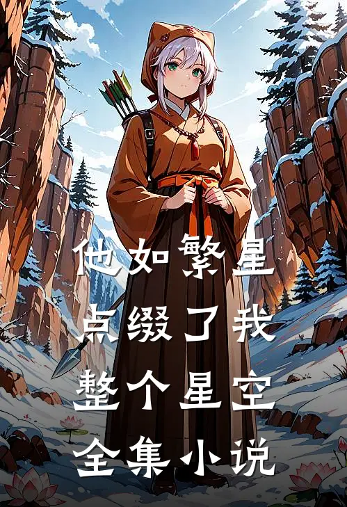 他如繁星，点缀了我整个星空全集小说
