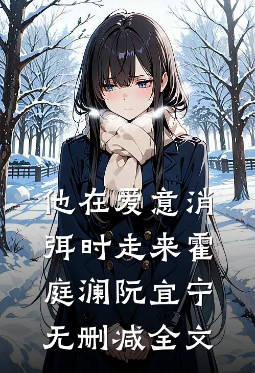 他在爱意消弭时走来霍庭澜阮宜宁无删减全文