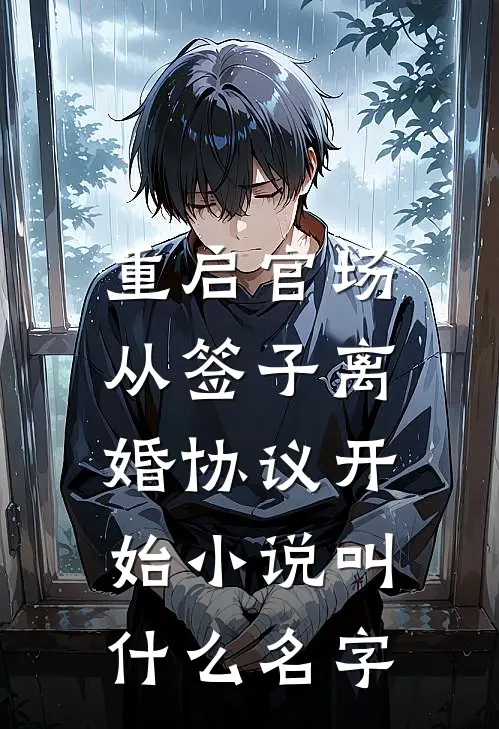 重启官场：从签子离婚协议开始小说叫什么名字