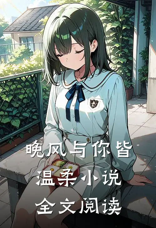 晚风与你皆温柔小说全文阅读