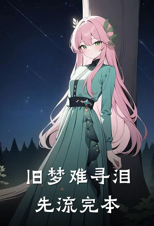 旧梦难寻泪先流完本
