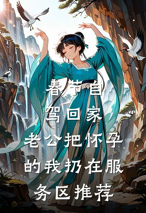 春节自驾回家，老公把怀孕的我扔在服务区推荐