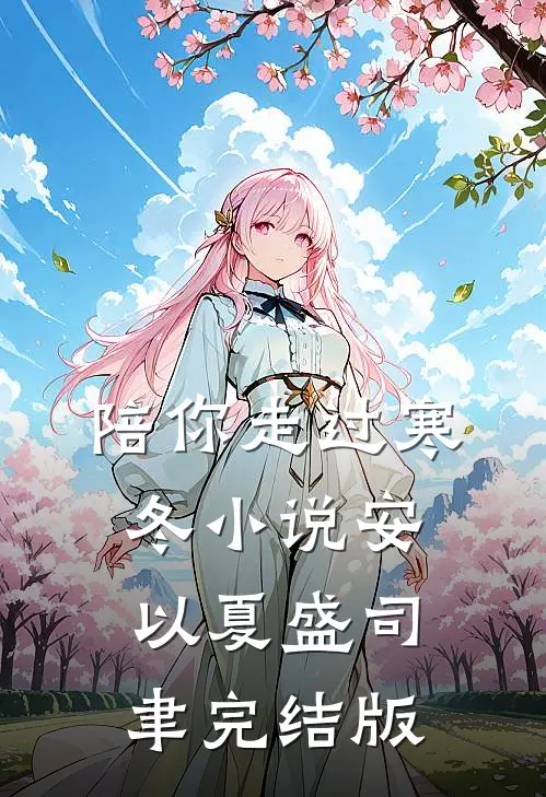 陪你走过寒冬小说安以夏盛司聿完结版
