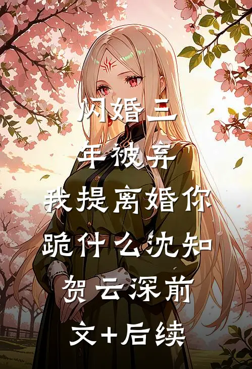 闪婚三年被弃，我提离婚你跪什么沈知贺云深前文+后续