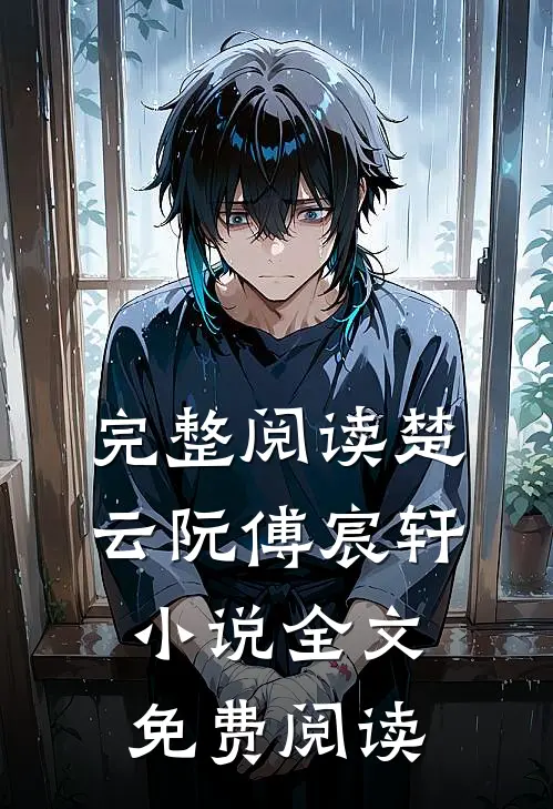 完整阅读楚云阮傅宸轩小说全文免费阅读