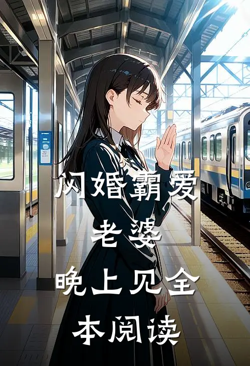 闪婚霸爱：老婆，晚上见全本阅读