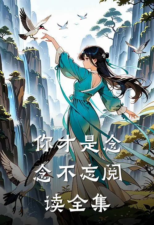 你才是念念不忘阅读全集