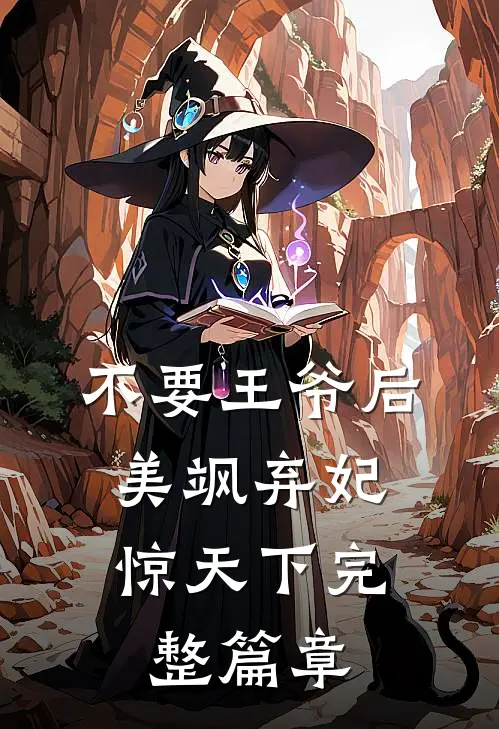 不要王爷后，美飒弃妃惊天下完整篇章