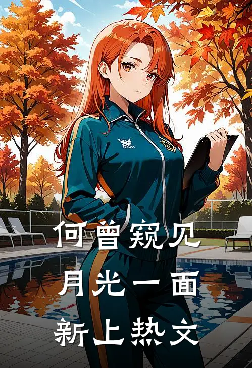 何曾窥见月光一面新上热文