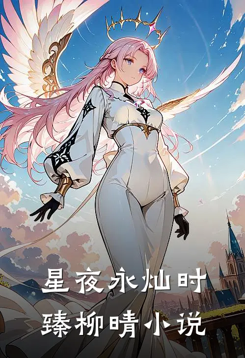 星夜永灿时臻柳晴小说