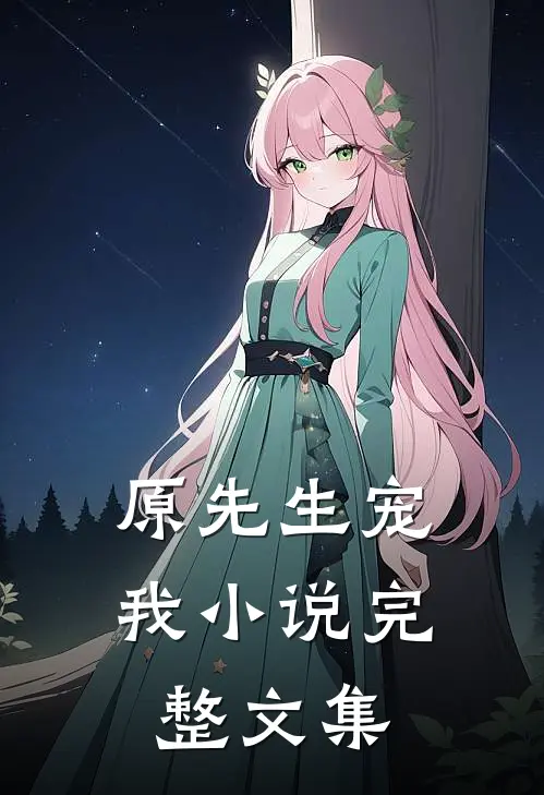 原先生宠我小说完整文集