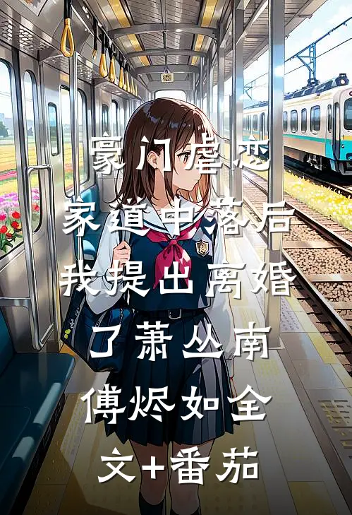 豪门虐恋：家道中落后我提出离婚了萧丛南傅烬如全文+番茄