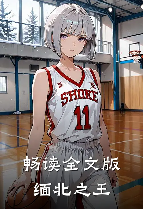 畅读全文版缅北之王