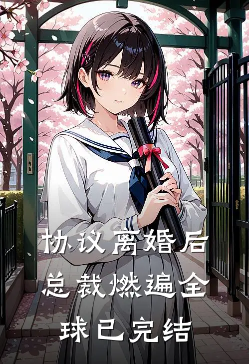 协议离婚后，总裁燃遍全球已完结