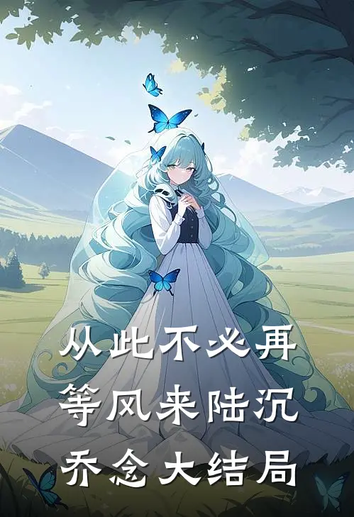 从此不必再等风来陆沉乔念大结局