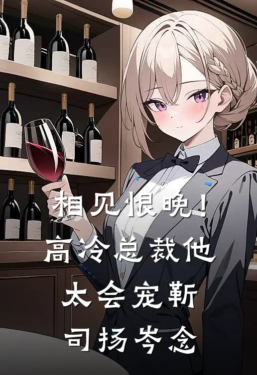 相见恨晚！高冷总裁他太会宠靳司扬岑念