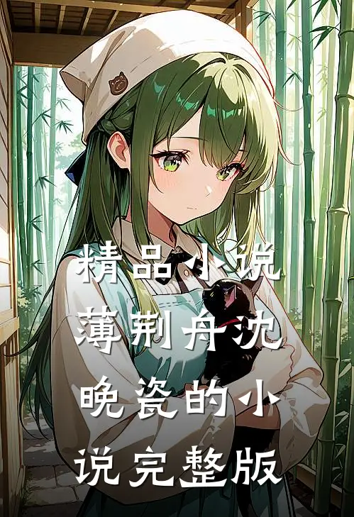 精品小说薄荆舟沈晚瓷的小说完整版