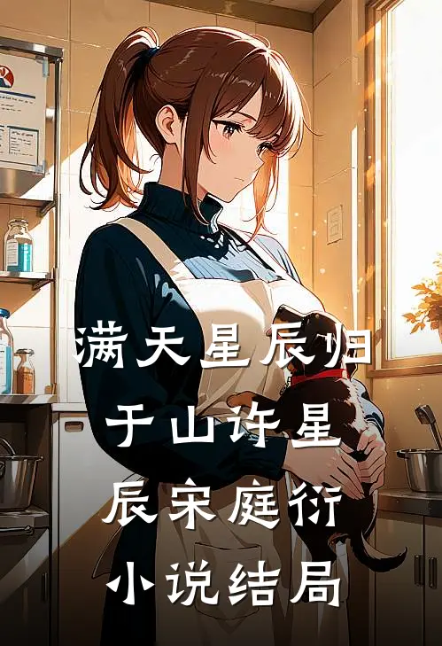 满天星辰归于山许星辰宋庭衍小说结局