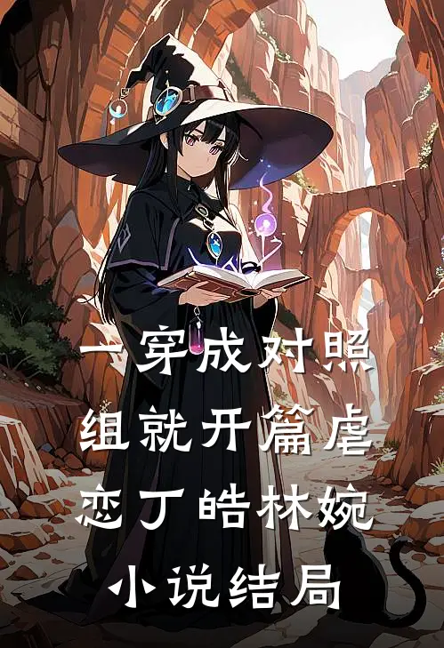 一穿成对照组就开篇虐恋丁皓林婉小说结局