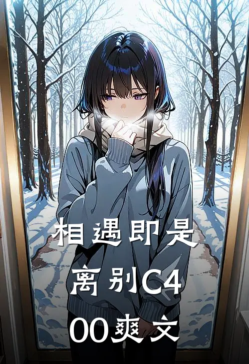 相遇即是离别C400爽文