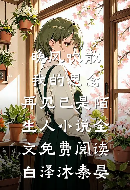 晚风吹散我的思念，再见已是陌生人小说全文免费阅读白泽沐秦晏