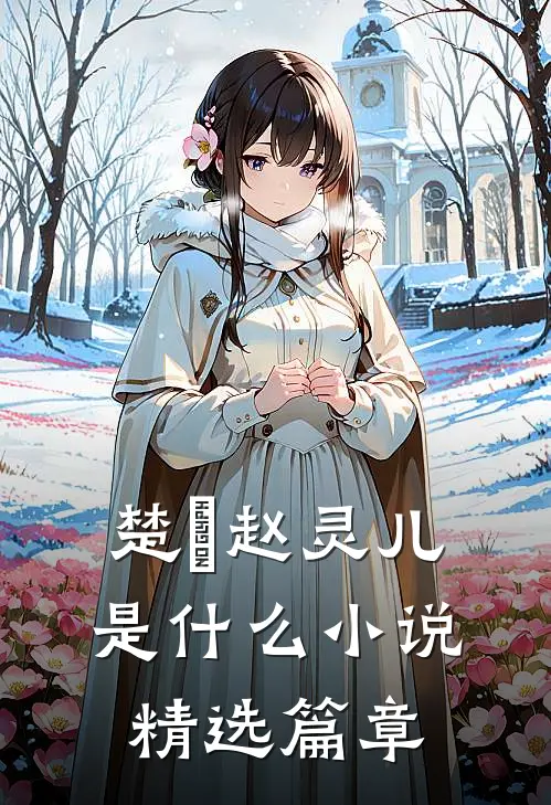 楚偲赵灵儿是什么小说精选篇章