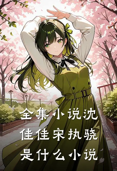 全集小说沈佳佳宋执骁是什么小说
