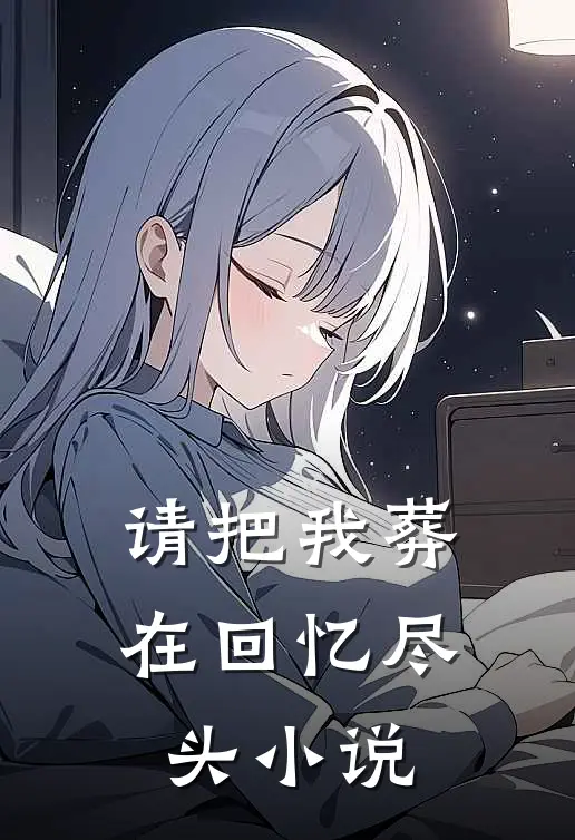 请把我葬在回忆尽头小说