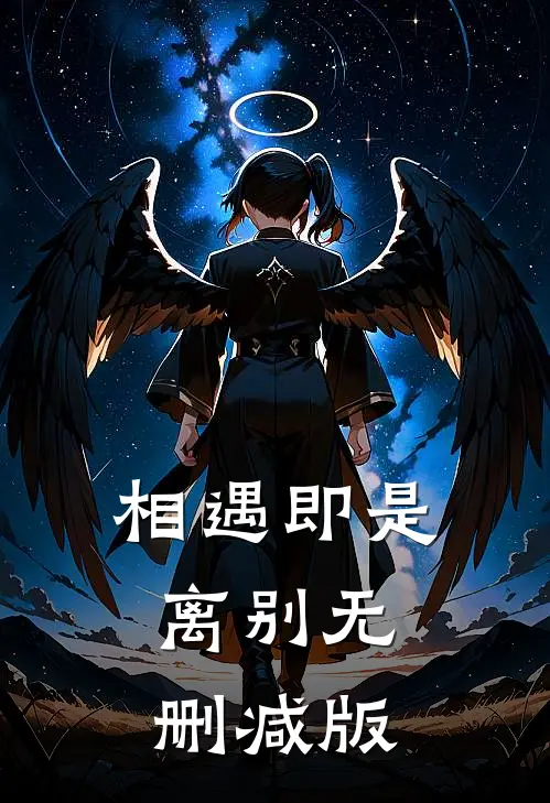 相遇即是离别无删减版