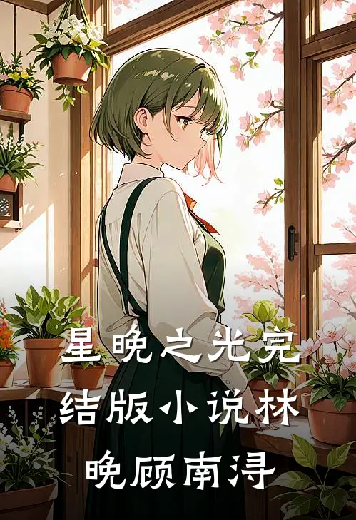 星晚之光完结版小说林晚顾南浔