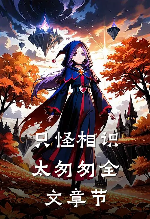 只怪相识太匆匆全文章节