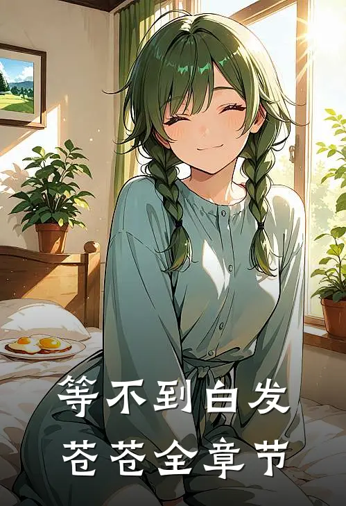 等不到白发苍苍全章节