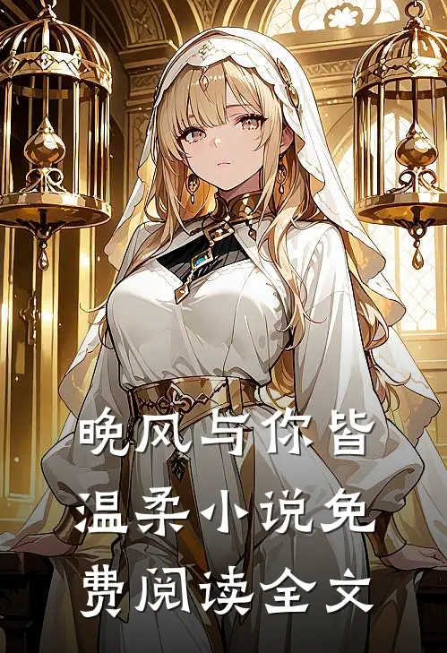 晚风与你皆温柔小说免费阅读全文